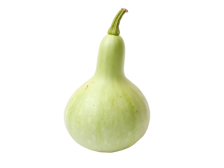 A single bottle gourd isolated on a transparent background
