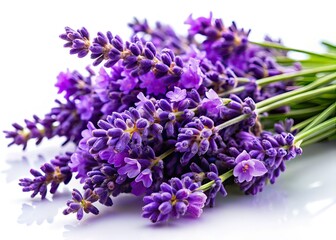 Obraz premium Lavender Flowers White Background, Elegant Floral Photography, High Resolution