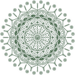 Beautiful flower art and mandala vector design