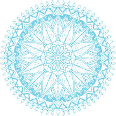 Beautiful flower art and mandala vector design