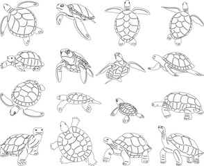 turtles in different poses set, collection, outline sketch vector