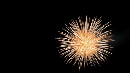 Fototapeta premium Golden Chrysanthemum Fireworks Display, Chinese New Year Celebration, Night Sky Spectacle