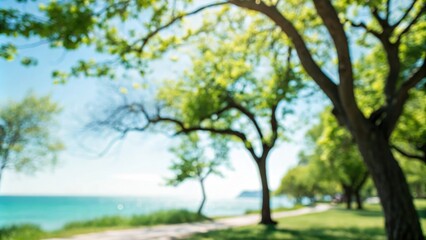 Blurred image of a sunny day with multiple tree branches set against a greenish-blue background, blue hues, landscape