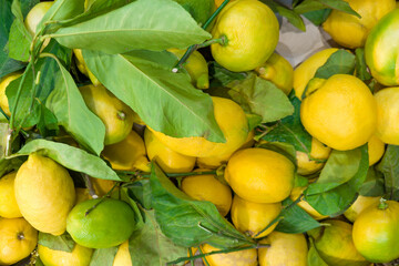 Freshly harvested organic lemons in container in vegetable-fruit market