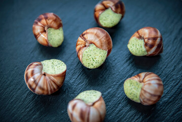 stuffed snail for baking in the oven