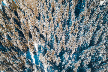 Discover the snow-capped mountains and the ski resort of Châtel in Haute-Savoie, in Winter