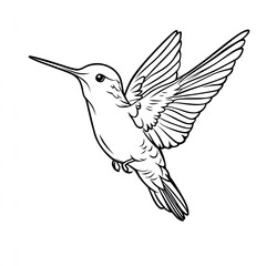 Obraz premium Hummingbird Outline Drawing Simple Coloring Book Page Illustration for Kids