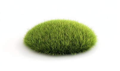 Lush green grass tuft, isolated, white background, 3D render, nature design (3)