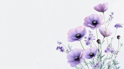 Elegant floral arrangement with purple poppies and delicate lavender blossoms on white background