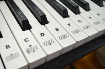 piano keys with note labels, letters for beginner musician