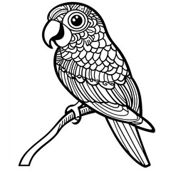 Fototapeta premium Zentangle Parrot Simple Coloring Page for Kids