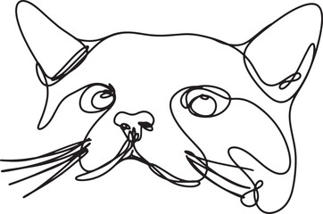 cat hand drawing line art monoline minimalist illustration