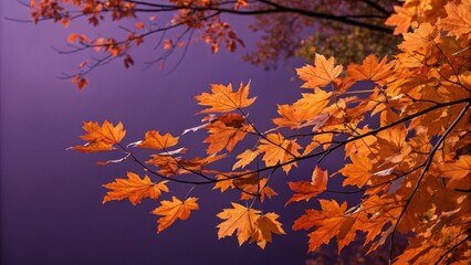 Autumnal foliage with metallic orange leaves against a deep violet background, leaf patterns, garden decor, metalic hues, autumnal patterns