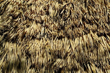 Toit de paille. (détail).