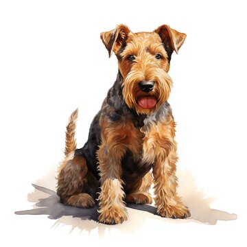 Welsh Terrier clipart. Isolated Watercolor Element illustration. Detailed illustration