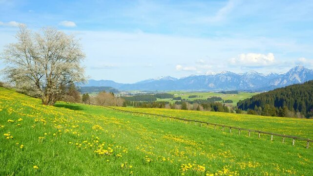 Panoramic Landscape in Eisenberg, Allg&auml;u, Bavaria