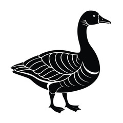goose isolated on white