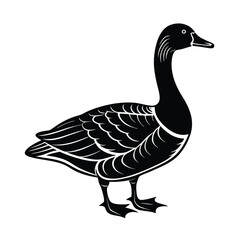 goose isolated on white