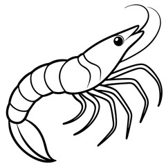 Minimalist Shrimp Vector