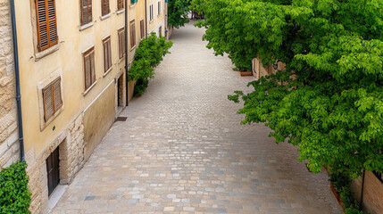 Obraz premium top down view of cobblestone road lined with lush green trees, creating serene and inviting atmosphere. charming architecture adds to picturesque scene