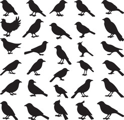 seamless pattern with birds