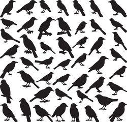Fototapeta premium seamless pattern with birds
