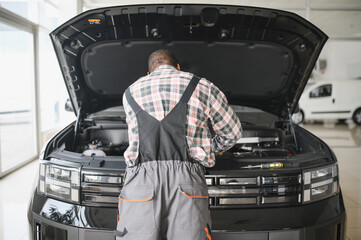 Car mechanic in auto repair service