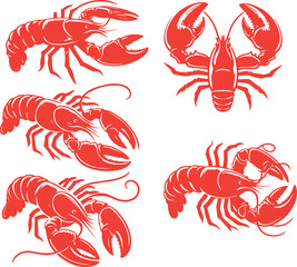 crayfish illustration