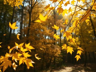 Autumn yellow leaves swirling in the wind against a fall forest on a sunny afternoon, scenic view, outdoor scene, fall forest
