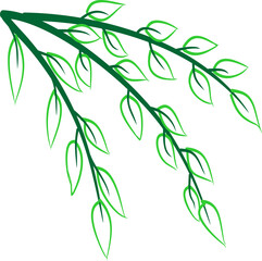 Branch leaves