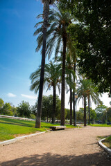 Obraz premium Empty park in Cordoba, Spain.