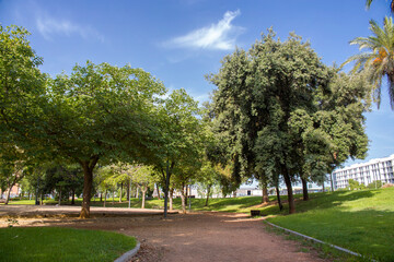 Empty park in Cordoba, Spain.