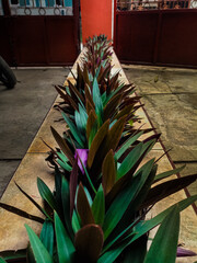 This simple but elegant landscape design with elongated plants successfully creates a calm atmosphere.