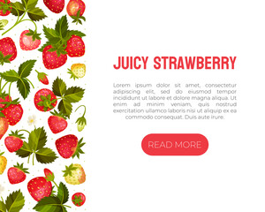 Sweet Strawberry Banner Design with Ripe Bright Berry Vector Template