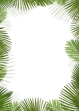 Minimalistic vertical botanical border featuring hand-drawn palm leaves, perfect for tropical-themed templates, invitations, greeting cards, and elegant designs. 