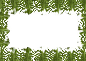 A stylish horizontal botanical border featuring hand-drawn palm leaves, perfect for tropical-themed templates, invitations, greeting cards, and elegant designs. 