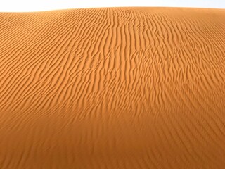 Rippled Sand Dune in the Desert