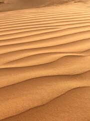 Rippled Sand Dunes in the Desert