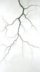 An abstract representation of branching lines resembling veins or lightning on a light background, creating a striking visual effect.