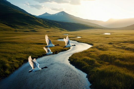 Majestic Birds Soaring Over a Serene River Valley at Sunset