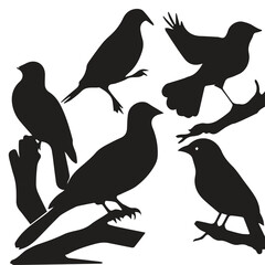 Fototapeta premium Bird silhouette vector icon logo. 