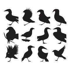 Fototapeta premium Bird silhouette vector icon logo. 