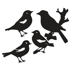 Bird silhouette vector icon logo.
