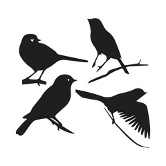 Bird silhouette vector icon logo.
