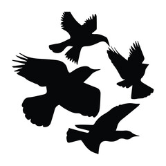 Fototapeta premium Bird silhouette vector icon logo. 