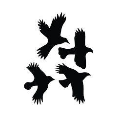 Bird silhouette vector icon logo.
