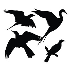 Bird silhouette vector icon logo.
