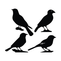 Bird silhouette vector icon logo.
