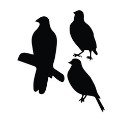 Obraz premium Bird silhouette vector icon logo. 