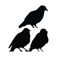 Bird silhouette vector icon logo.
